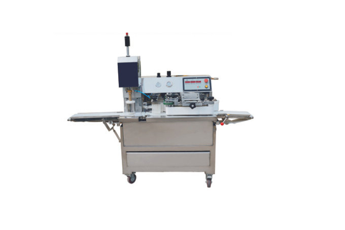 Automatic Stamping Machine (LM210-II)